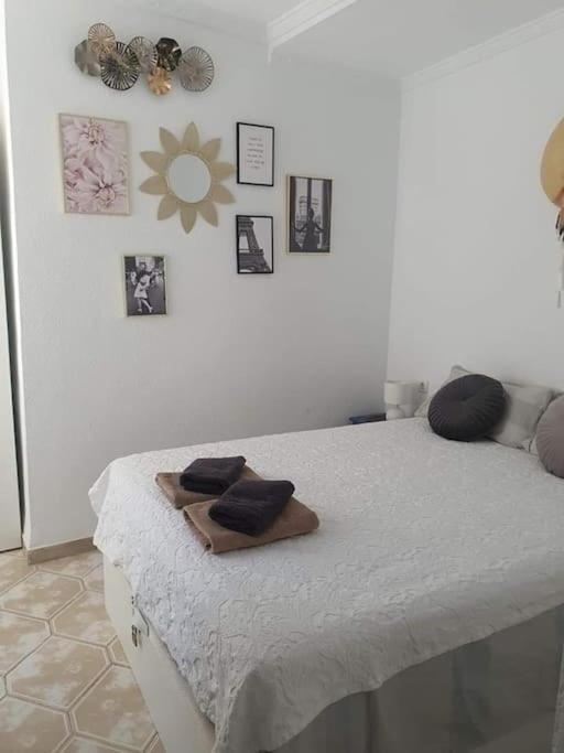 Costa Blanca Family Apartments One Bedroom Apartment Torrevieja Exteriör bild